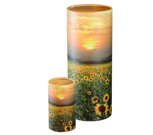 Sunflower Fields Scatter Tube