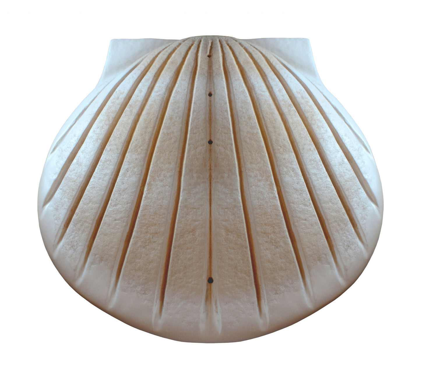 Shell Urn Sand