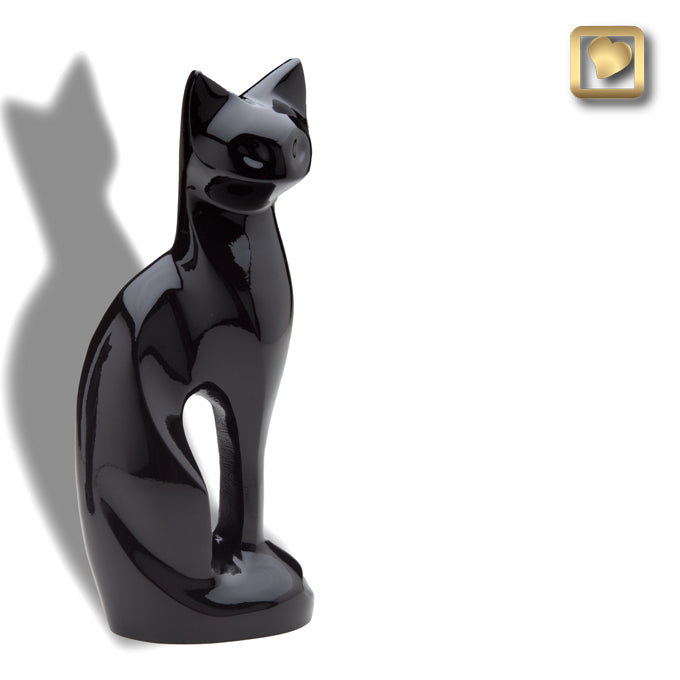 Cat – Midnight