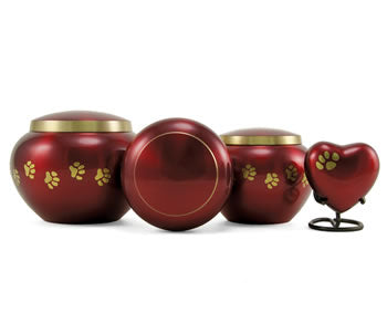 Odyssey Crimson – Extra Small