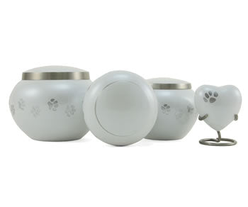 Odyssey Pearl – Extra Small
