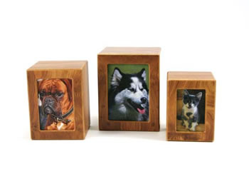PET Natural Photo Urn – Petite
