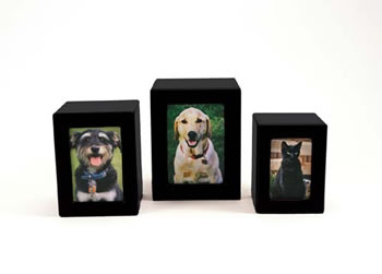 PET Black Photo Urn – Petite