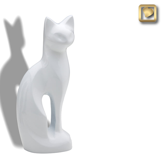 Cat – White
