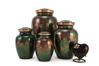 Classic Paws Raku – XS