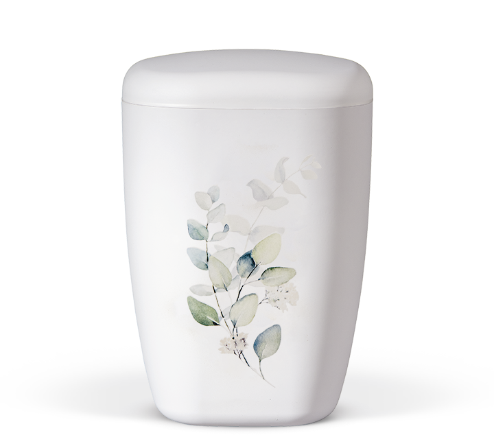 Eucalyptus Bio Urn Large
