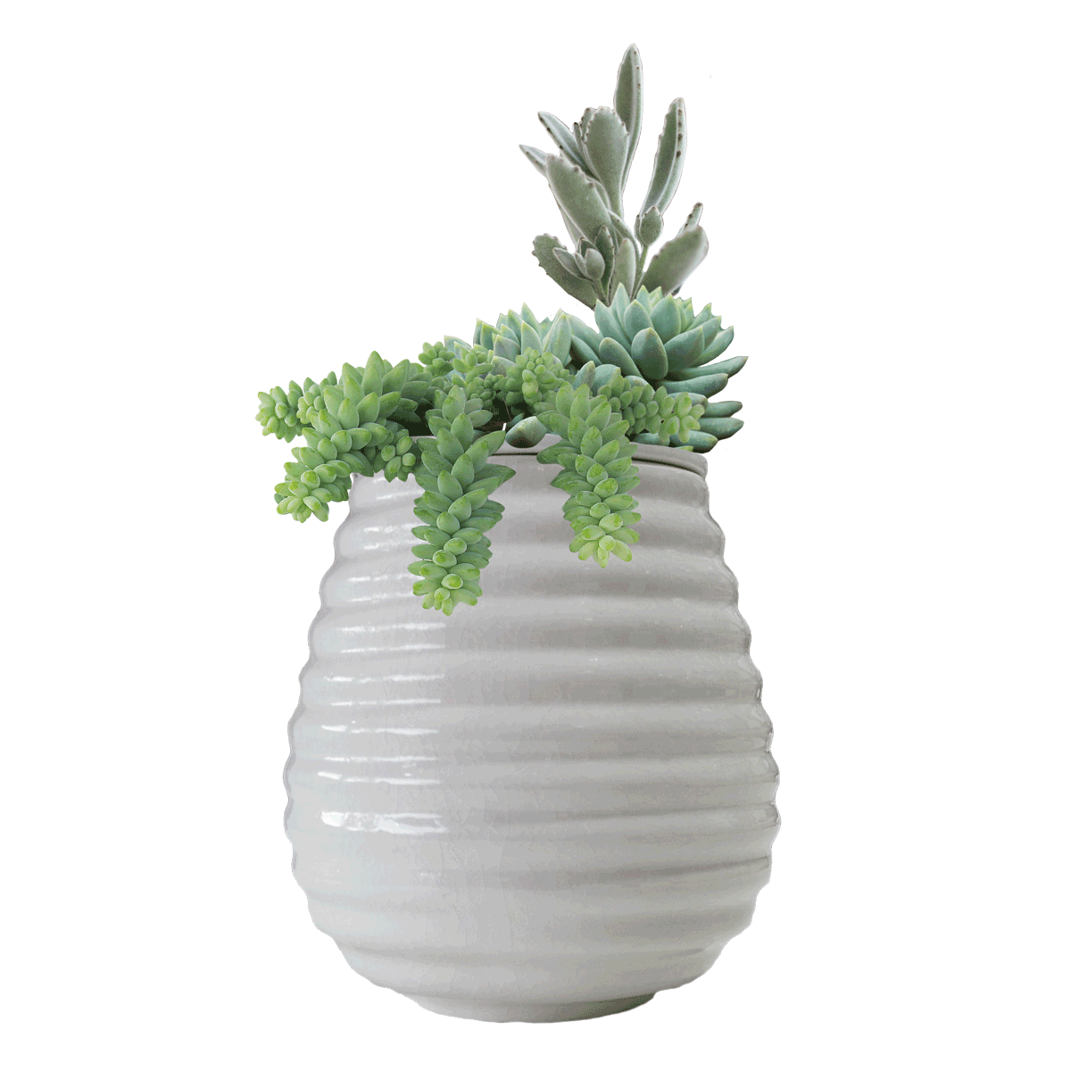 Eco Planter Craquelure – Permanent