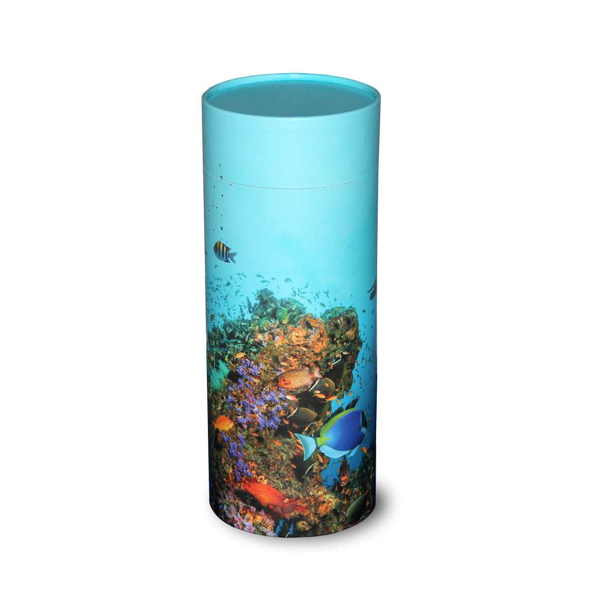 Scatter Tube Coral Reef LARGE